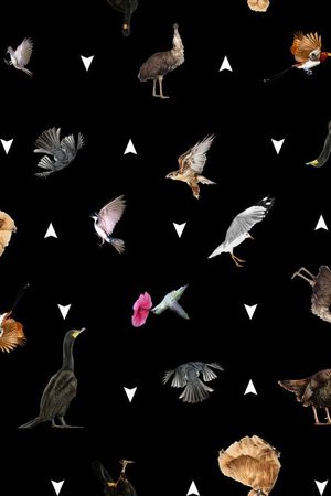 动物、鸟类、家禽、花卉、几何印花华亿平台图片