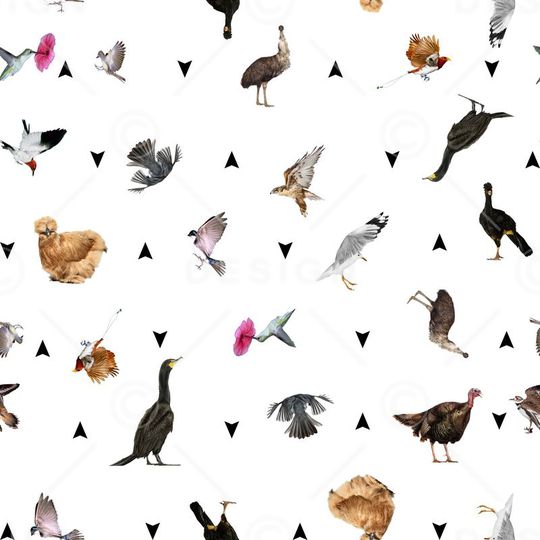 动物、鸟类、家禽、花卉、几何印花华亿平台图片