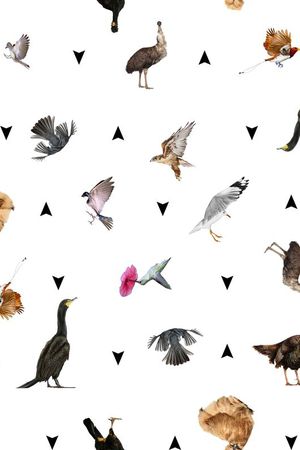 动物、鸟类、家禽、花卉、几何印花华亿平台图片