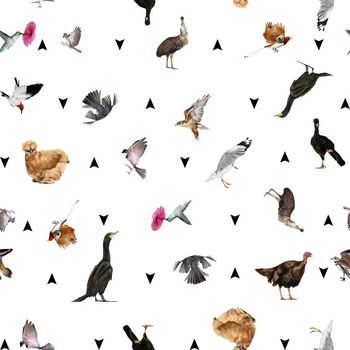 502241-动物鸟类家禽花卉－男装衬衫华亿平台