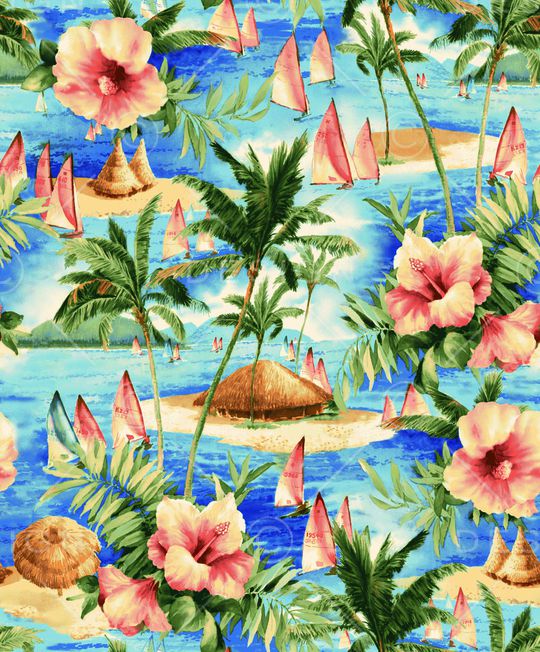 海滩海岸印花华亿平台图片