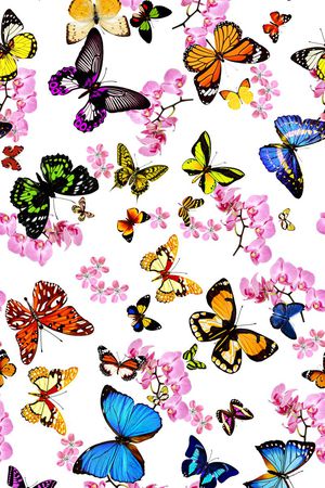 春夏流行时尚印花华亿平台图片