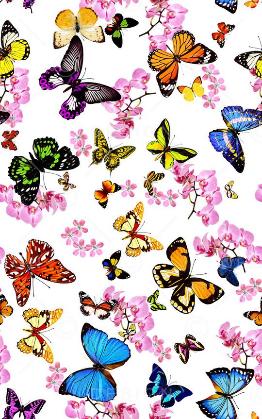 春夏流行时尚印花华亿平台图片