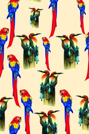 鹦鹉印花华亿平台图片