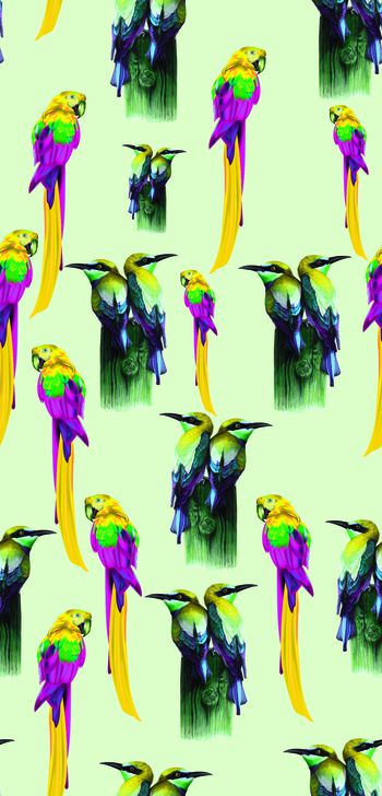 502717-鹦鹉学舌 翠鸟小鸟 麻雀 木桩