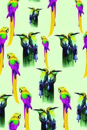 鹦鹉印花华亿平台图片