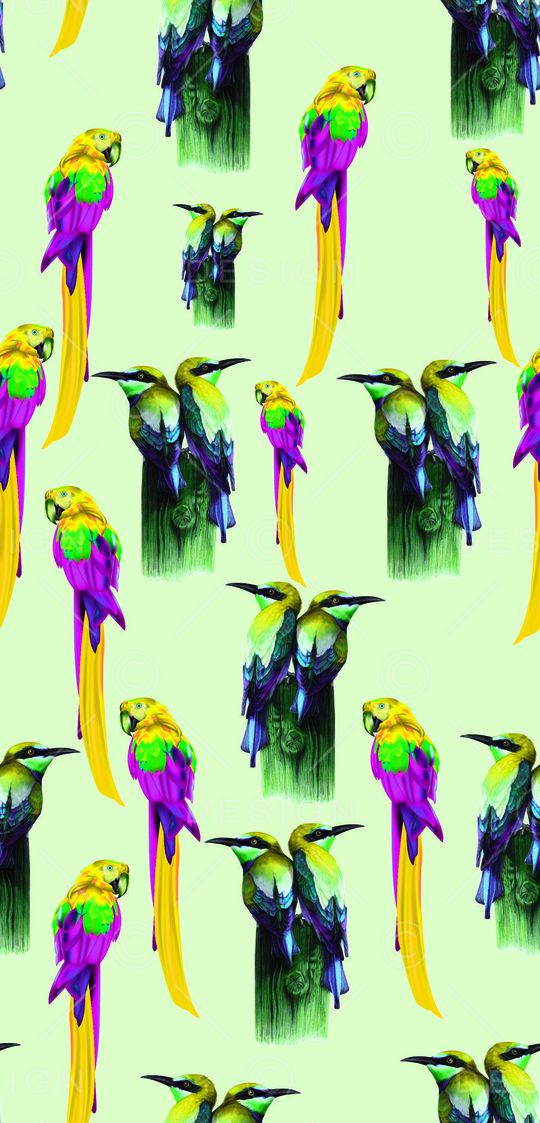 鹦鹉印花华亿平台图片