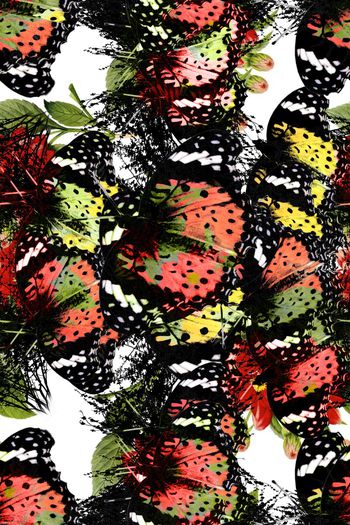 蝴蝶抽象印花华亿平台图片