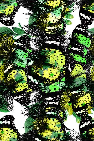 蝴蝶抽象印花华亿平台图片