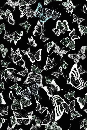 502794-黑白蝴蝶剪影