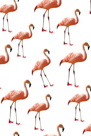 动物印花华亿平台图片