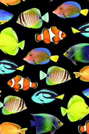 海底世界印花华亿平台图片