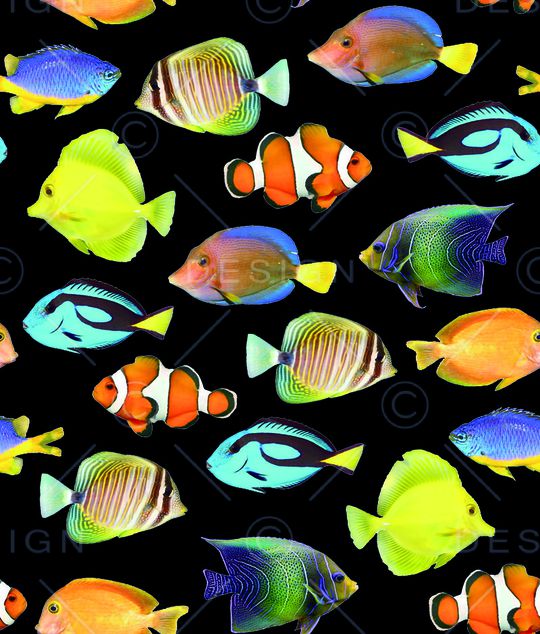 海底世界印花华亿平台图片