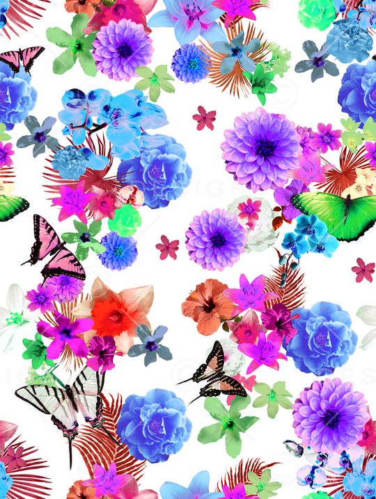 蝴蝶印花华亿平台图片