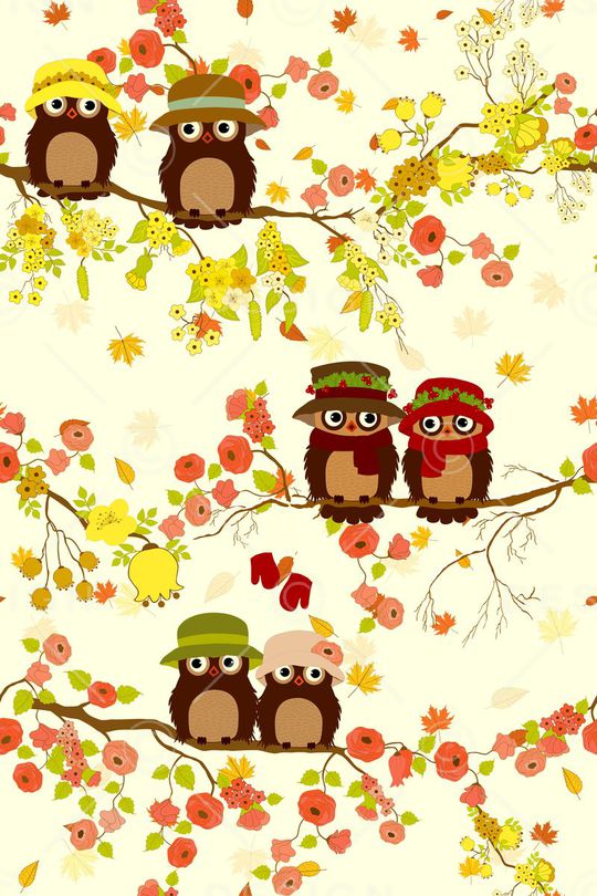 卡通猫头鹰印花华亿平台图片