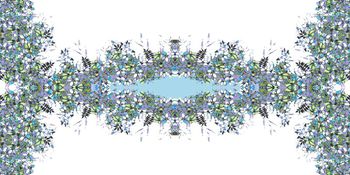 503302-原创定位花卉华亿平台