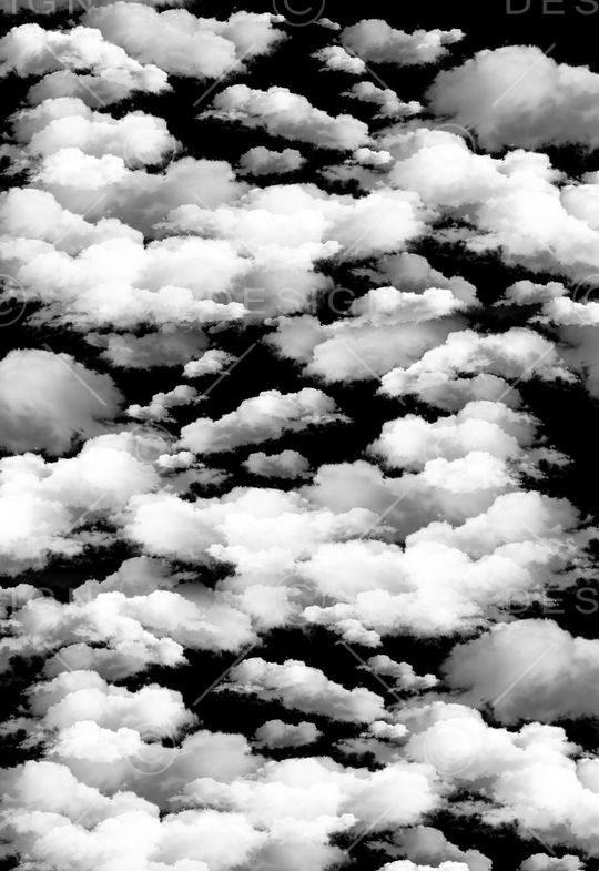 黑底印花华亿平台图片