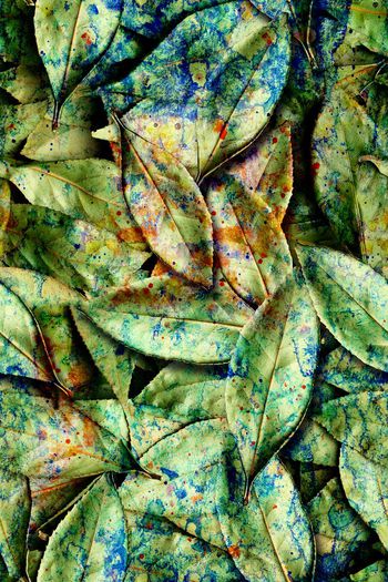 503661-欧美流行时尚树叶 女装连衣裙 沙发