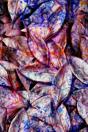 数码印花印花华亿平台图片