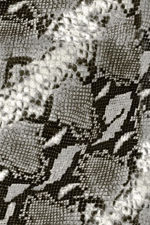 动物印花华亿平台图片