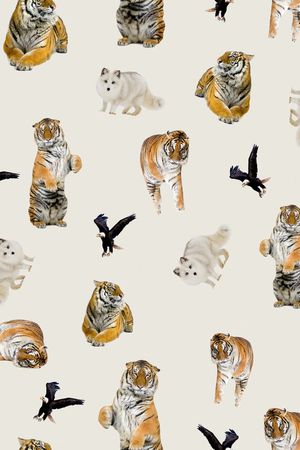 白头鹰印花华亿平台图片