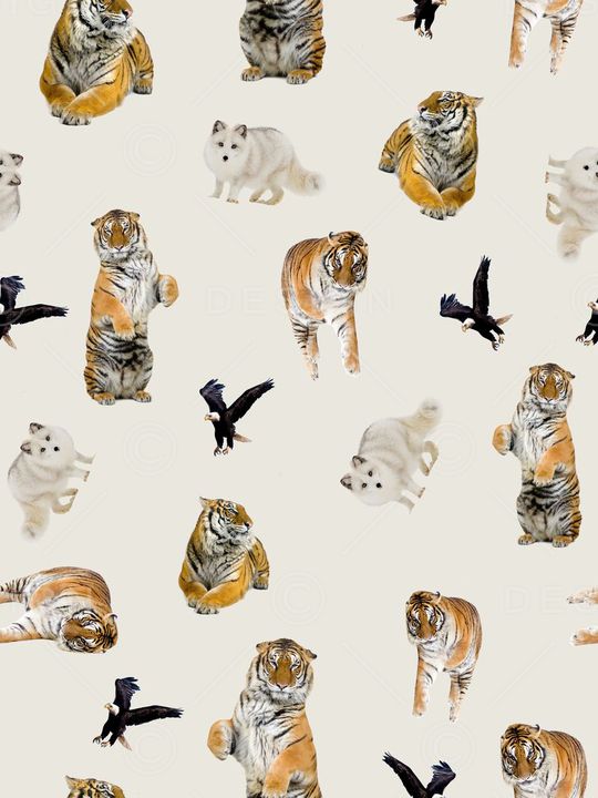 白头鹰印花华亿平台图片