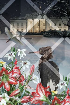 潮流时尚印花华亿平台图片