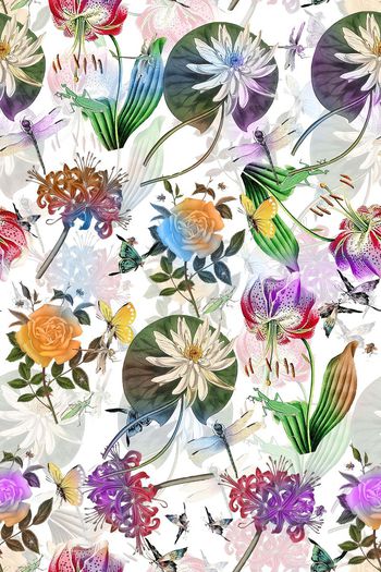 504040-秋冬清爽花卉组合