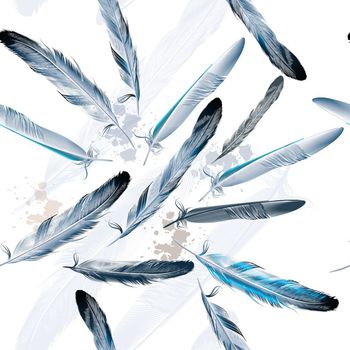 504049-鸟类羽毛 古典欧洲羽毛笔