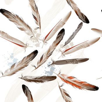 504051-鸟类羽毛 古典欧洲羽毛笔