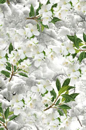 衬衫华亿平台印花华亿平台图片