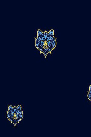 男装华亿平台印花华亿平台图片