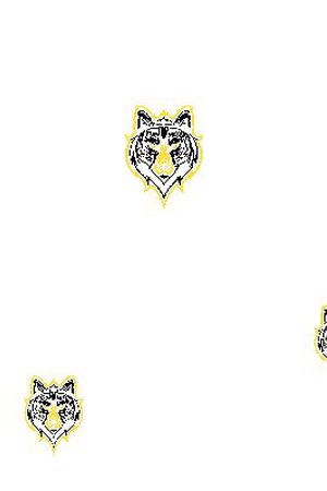 男装华亿平台印花华亿平台图片