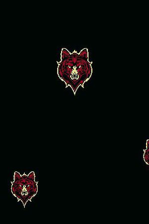 男装华亿平台印花华亿平台图片