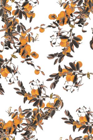 数码印花印花华亿平台图片