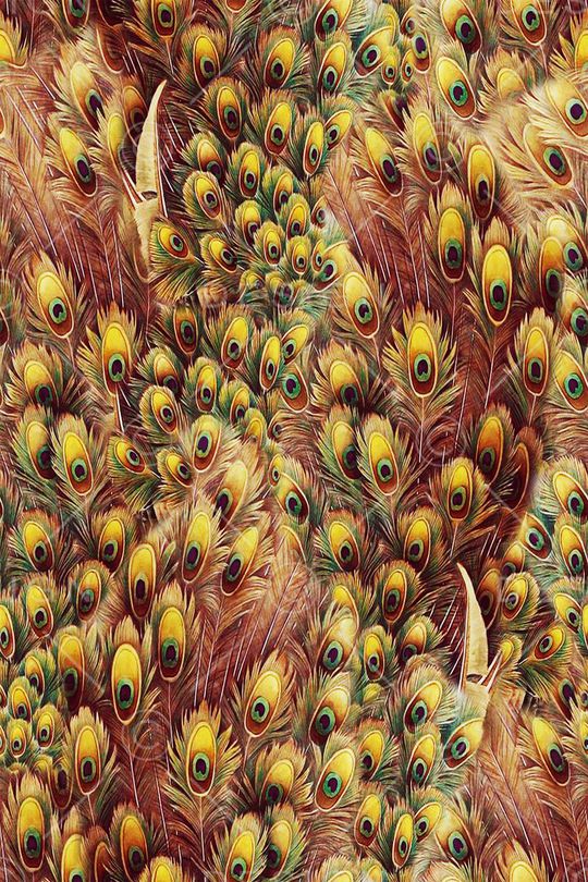 欧美 大牌 孔雀 羽毛 孔雀翎印花华亿平台图片