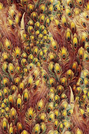 欧美 大牌 孔雀 羽毛 孔雀翎印花华亿平台图片