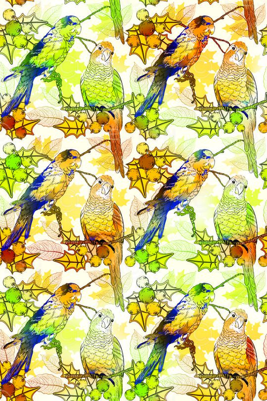 流行时尚印花华亿平台图片