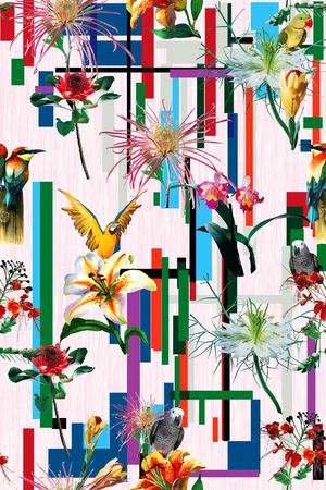 鹦鹉印花华亿平台图片