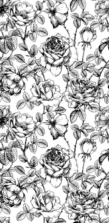 504460-线描花卉 女装印花 