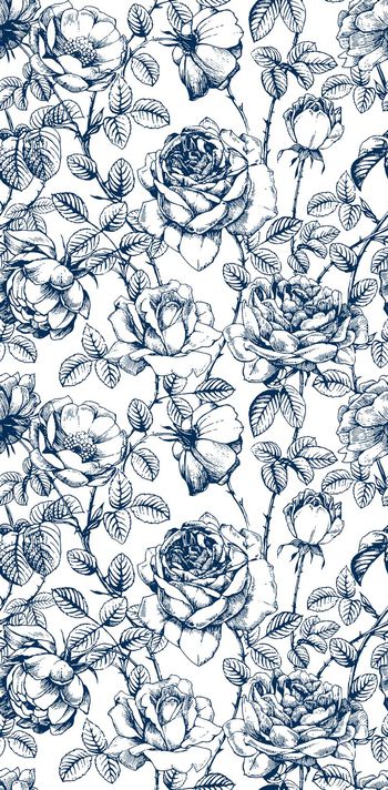 504470-线描花卉 女装印花 