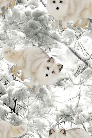 潮流印花华亿平台图片