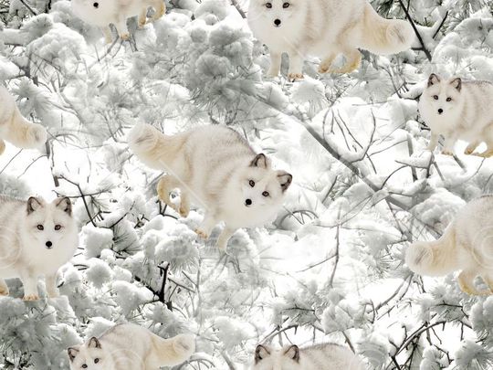 潮流印花华亿平台图片