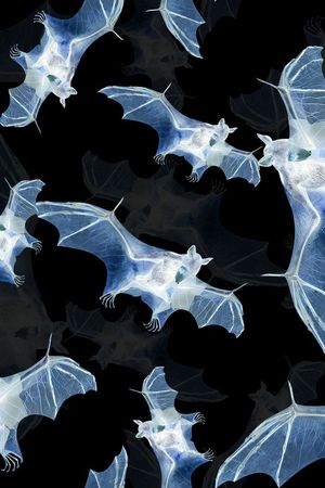 潮流时尚印花华亿平台图片