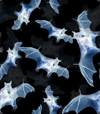 504590-	潮流时尚蝙蝠男装个性数码印花