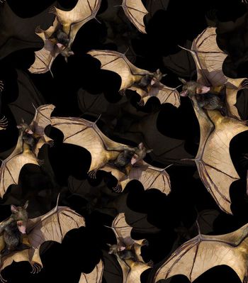 504591-	潮流时尚蝙蝠男装个性数码印花