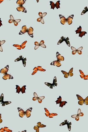 潮流印花华亿平台图片