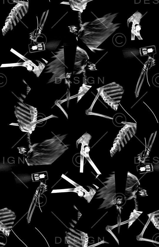 潮流时尚印花华亿平台图片