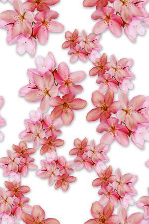 3D印花华亿平台图片