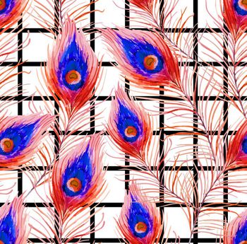 504758-时尚格子水彩孔雀羽毛
